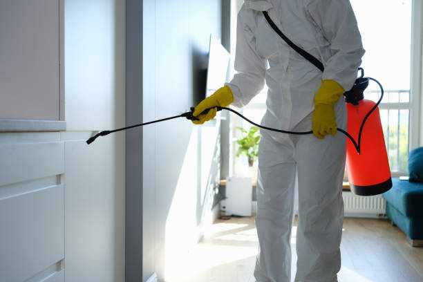 Best Professional Mold Removal  in Pine Crest, TN