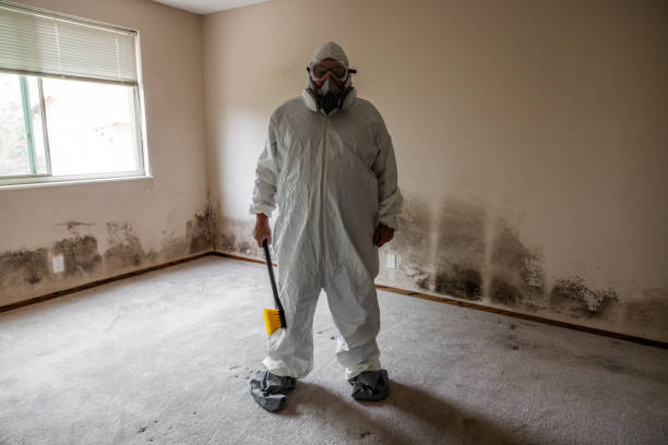 Best Residential Mold Removal  in Pine Crest, TN